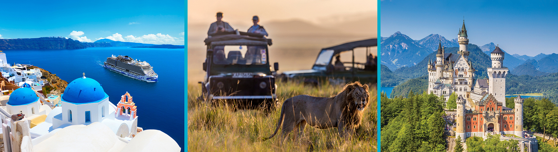 Travel, Tour & Cruise Information Session