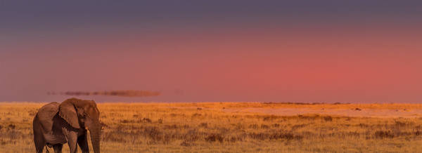 Black Friday Sale with Collette